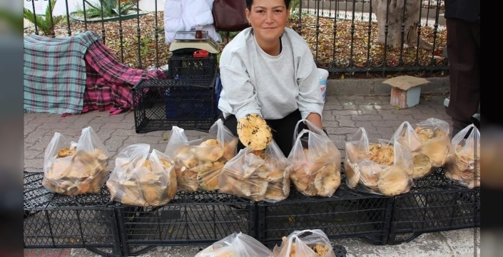 Sonbaharın sürprizi: Kumluca'da Kanlıca mantarları ekonomiye can veriyor!