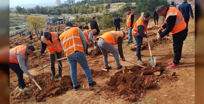 Yalvaç'ta herkes için fidan seferberliği başladı