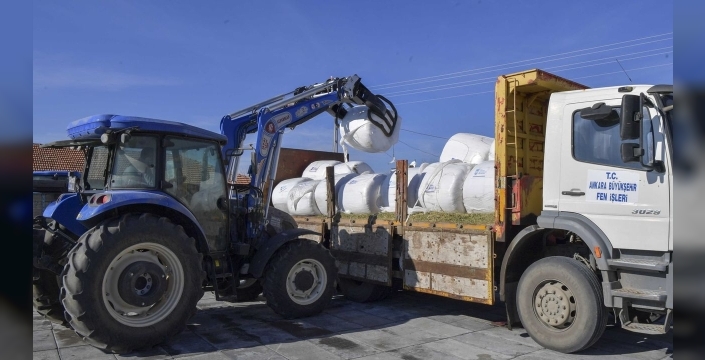 Ankara Büyükşehir Belediyesi, üreticilere 3 milyon TL'lik mısır silajı desteği sağlıyor