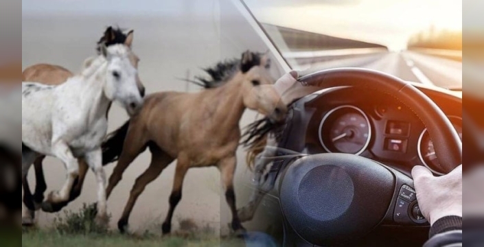 Beygir gücü isminin şaşırtıcı kökeni: James Watt'ın atlardan ilham alan icadı