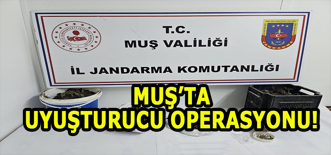 Muş'ta uyuşturucu operasyonu: 1 şüpheli gözaltında, esrar ve kenevir ele geçirildi