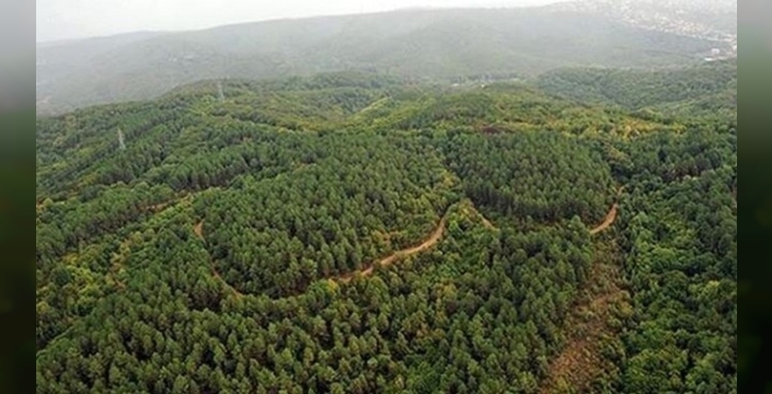 Türkiye'nin doğal hazineleri büyüyor: Korunan alanlar 28 bin 907 kilometrekareye ulaştı