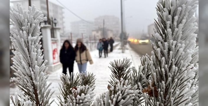 Ardahan buz kesti: Termometreler eksi 36'yı gösterdi, sürücüler çaresiz kaldı!