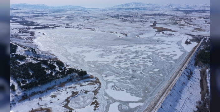 Elazığ'da Cip Barajı dondu, kuşlar buz üzerinde konaklıyor