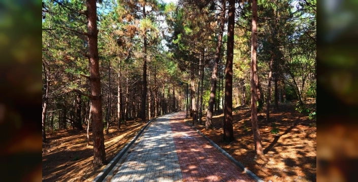 Sapanca Gölü'nde huzur koridoru açıldı, Sakaryalılar için yeni nefes noktası