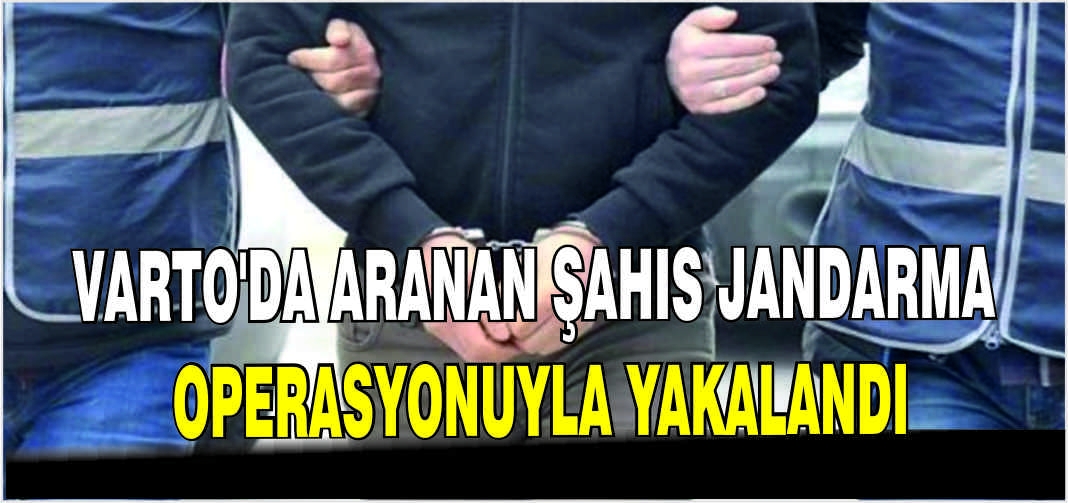 Varto’da aranan şahıs jandarma operasyonuyla yakalandı