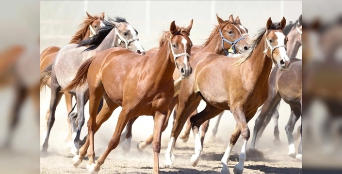 100 milyon TL'lik iddia çürütüldü: Taylar kaybolmadı, değerleri açıklandı!