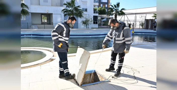 Antalya'da kışın da durmuyor: Haşere ordusuna karşı 1600 kişilik mücadele