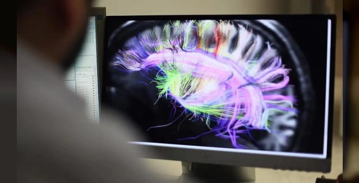 Beyindeki gama senkronizasyonu bencilliğin panzehiri olabilir