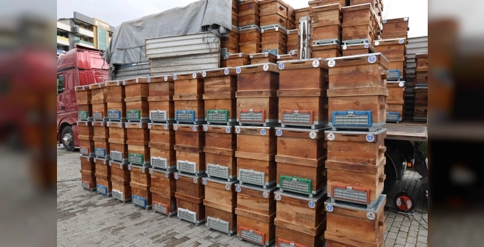 Bursa'da arıcıların yüzü güldü: Büyükşehir'den 3 bin 400 kovan destek