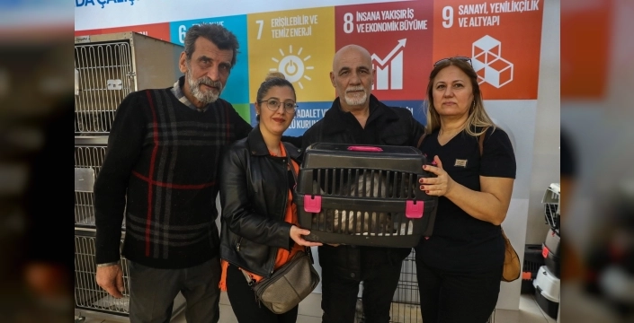 Bursa'da sokak kedileri için sıcak yuva seferberliği