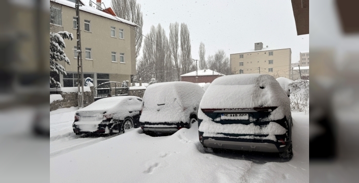 Doğu Anadolu'da kar nedeniyle ulaşımda aksamalar yaşanıyor
