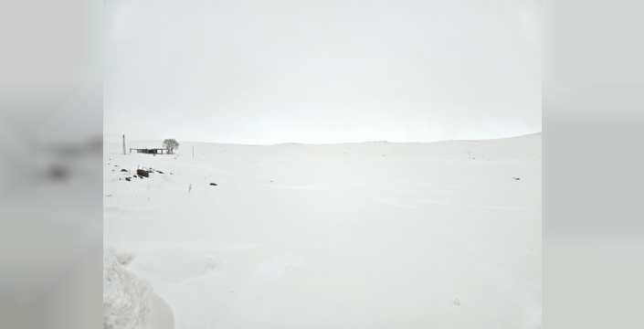 Erzurum'da dondurucu soğuk: Köyceğiz Göleti buz tuttu
