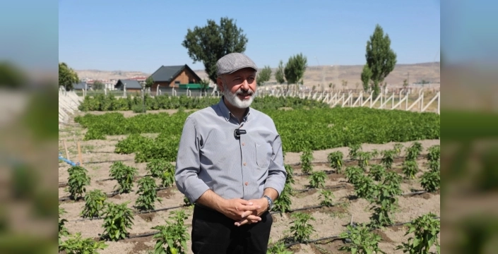 Kocasinan'dan çiftçilere müjde: Erkenci kapya biberi tohumları ücretsiz dağıtılıyor