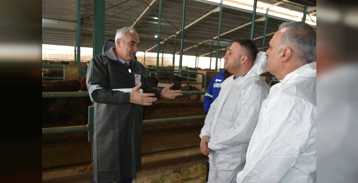 Malatya'da hayvan sağlığı için dev aşılama seferberliği başlıyor: 1,5 milyon doz aşı yolda!