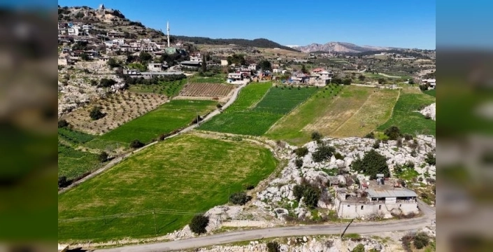 Mersin'de nergis üretimi kırsal ekonomiyi canlandırıyor, kadınlar başrolde