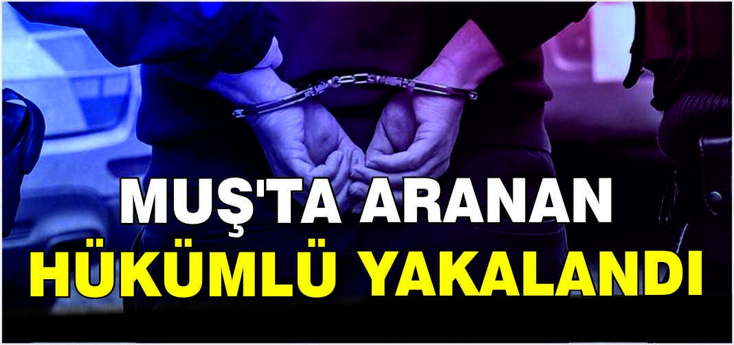 Muş’ta aranan hükümlü yakalandı