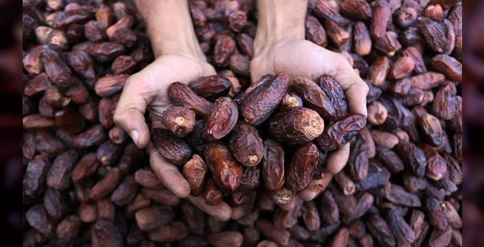 Ramazan'ın gözdesi hurma tezgahta: Kilosu 960 liraya ulaştı, kaliteli seçim için altın ipuçları