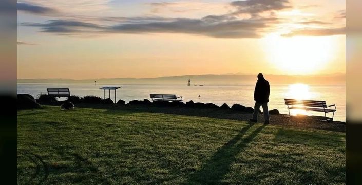 Yalnızlık en çok sürücüleri vuruyor: Haftada 15 saat tek başına kalıyorlar