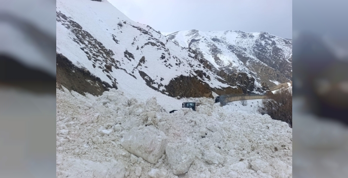 Yüksekova'da köy yolu çığdan kurtarıldı