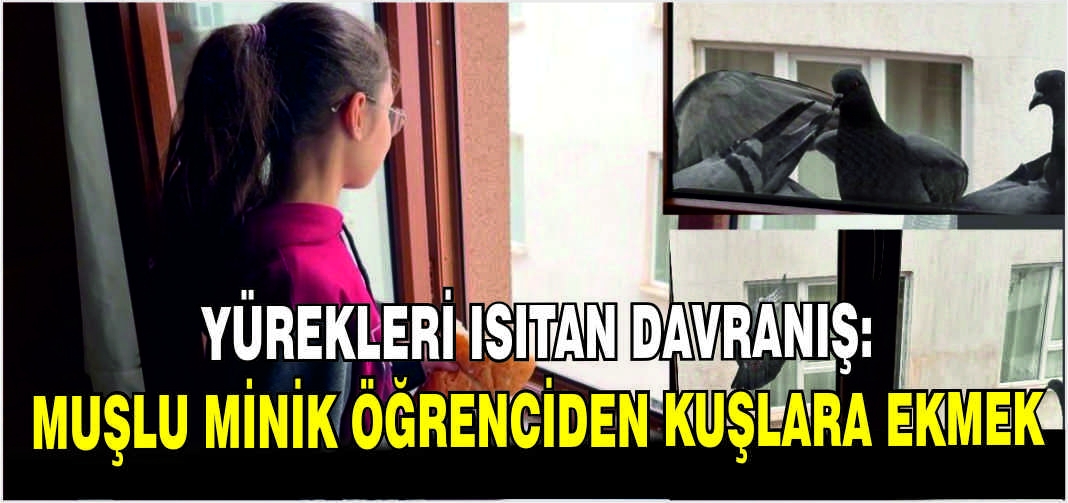 Yürekleri ısıtan davranış: Muşlu minik öğrenciden kuşlara ekmek