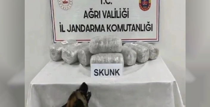 Ağrı'da uyuşturucu operasyonu: 10 kilogram skunk ele geçirildi