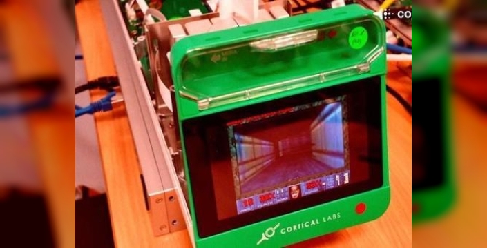 Beyin hücreleri bir haftada Doom oynamayı öğrendi: Biyolojik bilgisayarlar için devrim niteliğinde adım!