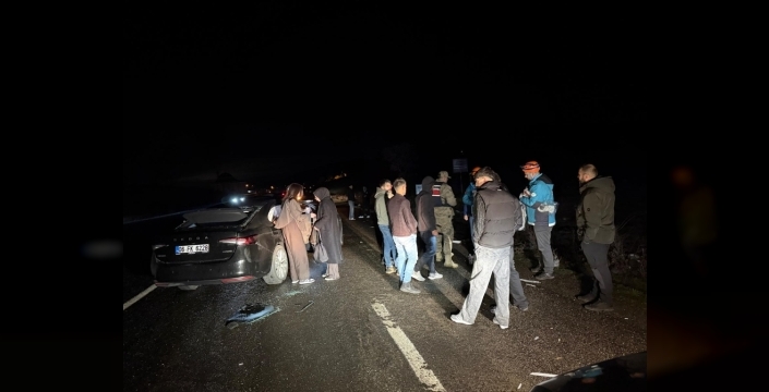 Bingöl'de ata çarpan otomobilde 4 kişi yaralandı