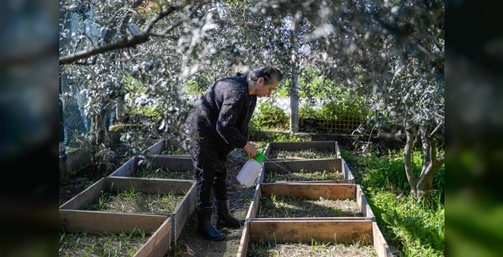 Emekli öğretmen salep yetiştiriciliğinde üretici oldu: Meslek Fabrikası hayatını değiştirdi