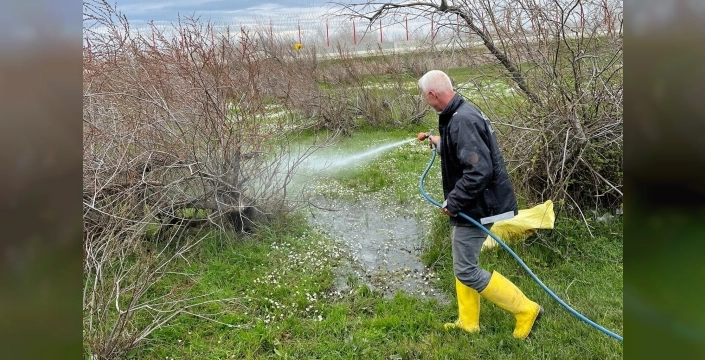 Enez'de sinekle mücadele için kollar sıvandı: Larva ilaçlaması start aldı!
