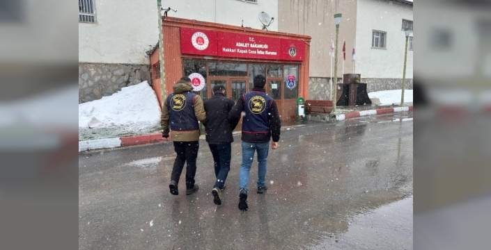 Hakkari'de firari hükümlü, jandarmaya teslim oldu