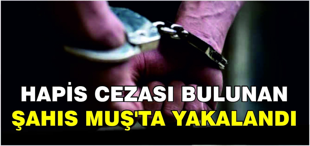 Hapis cezası bulunan şahıs Muş’ta yakalandı