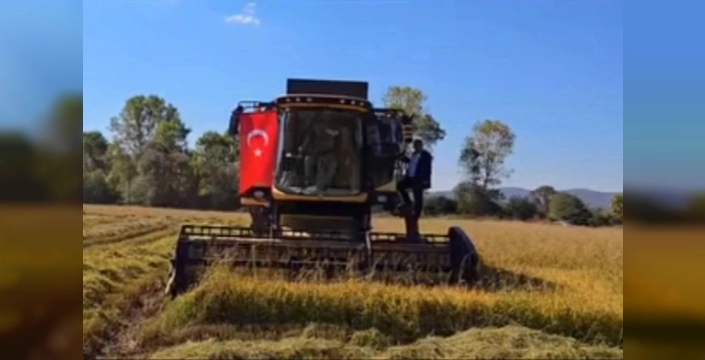 İstanbul'da yeni üretim sezonu için üreticilere büyük destek: Tohum ve fideler hazır