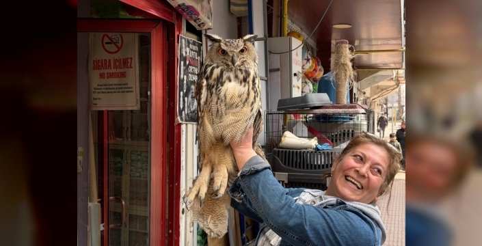 Karakoçan'da yaralı puhu kurtarıldı, doğaya dönüşü bekleniyor