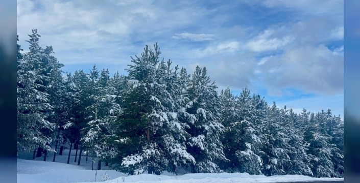 Kars ve Ardahan'da karla mücadele çalışmaları hız kesmeden devam ediyor