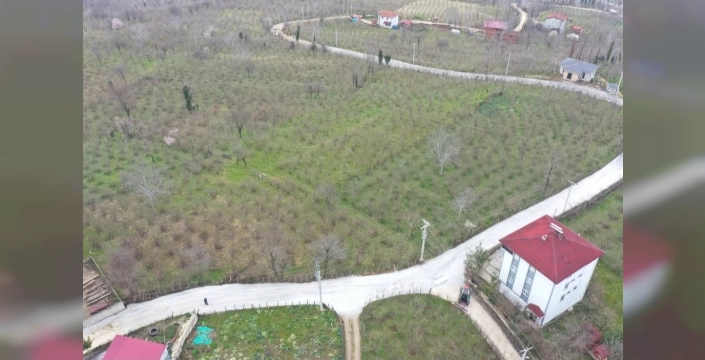 Kumru'da yol seferberliği: Fatsa-Ağcaalantürk-Esence yolu modernize ediliyor