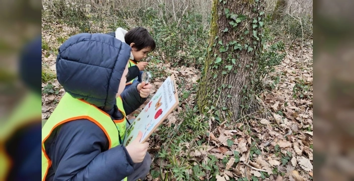 Lokomotif minikleri Ormanya'da doğayla buluştu