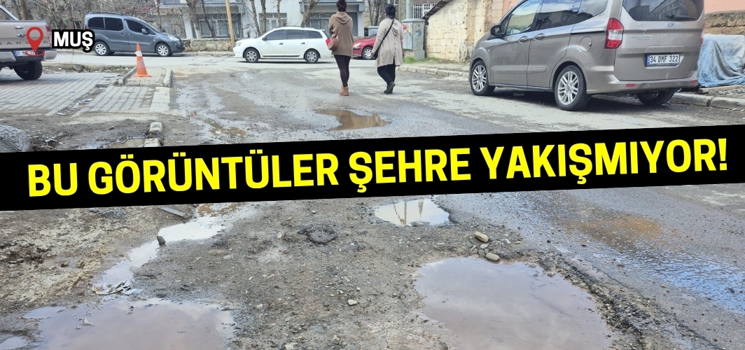 Şehir Merkezinde Yol Sorunu Büyüyor: Cadde ve Sokaklar Çukurlarla Doldu