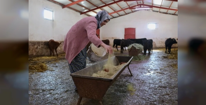 Van'da kadın besici, hayvan sayısını 5 ayda iki katına çıkardı