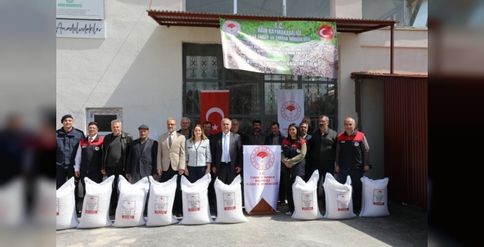 Ağın'da 108 çiftçiye 18 ton nohut tohumu dağıtıldı: Üretimin yüzyılı başlıyor!