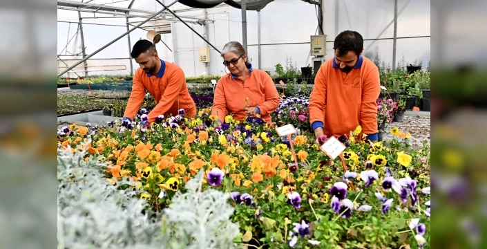 Antalya'da 130 bin dal çiçekle sanat şöleni hazırlanıyor