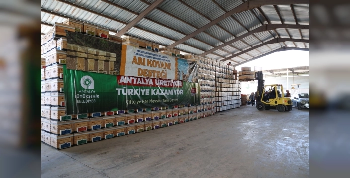 Antalya'da arıcılara müjde: Kovan desteğiyle üretim artacak!