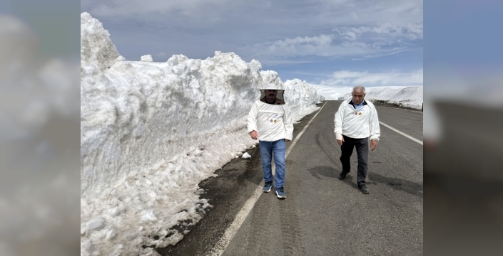 Arıcılar direniyor: Karayolu kışın kapalı kalmasın!