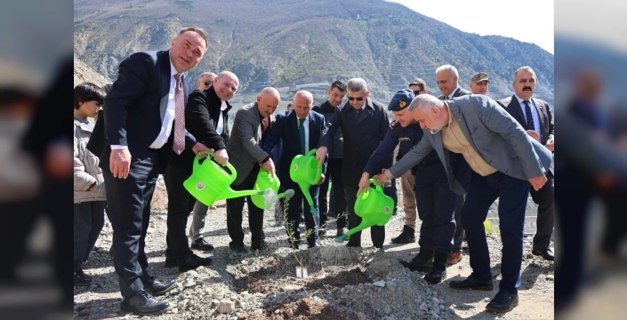 Artvin’de Butko zeytini üretimi hız kazanıyor