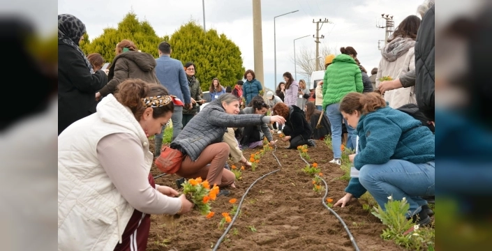 Balıkesir'de kursiyerler tıbbi ve aromatik bitkiler konusunda eğitim aldı