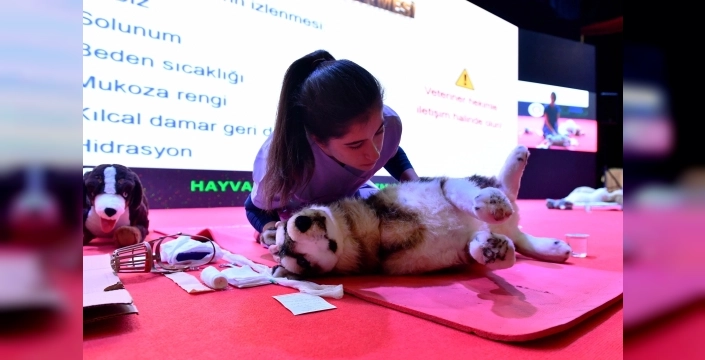 Başkent’in can dostlarına dev destek: Milyonlarca hayvana uzanan sevgi eli