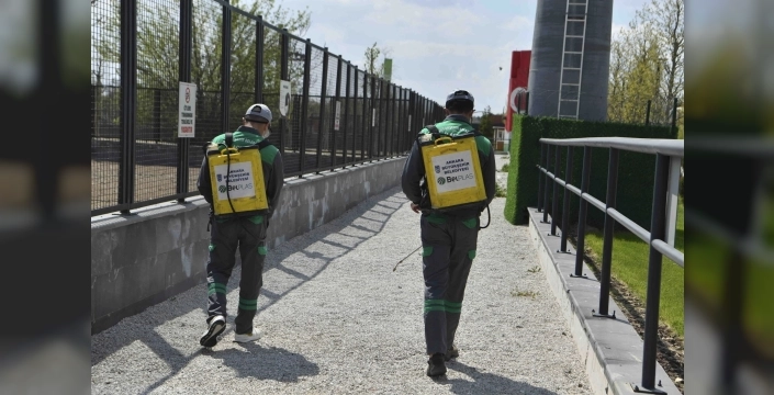 Başkent tehlikede mi? Ankara'da dev haşere operasyonu başladı