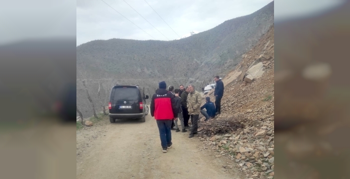 Bitlis'te kaybolan 5 yaşındaki küçük Rabia için seferberlik: 350 kişilik ekip havadan ve karadan arıyor!