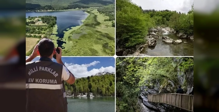 Doğa Koruma Uzmanları Artık Tez Yazacak: Yeni Yönetmelik Yürürlükte
