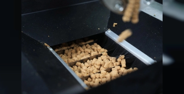 Eskişehir'de şok dönüşüm: Atık yemekler sokak köpekleri için mama oluyor!